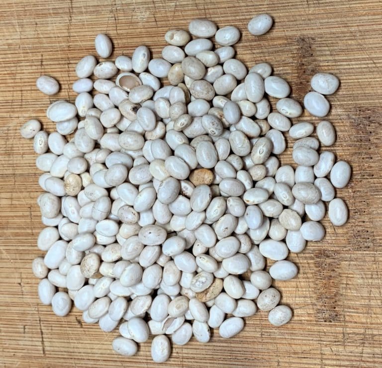 Haricot (Navy) Beans Yummy Nuts Bulk Foods